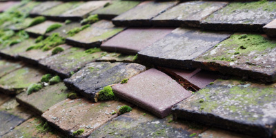 Swavesey roof repair costs